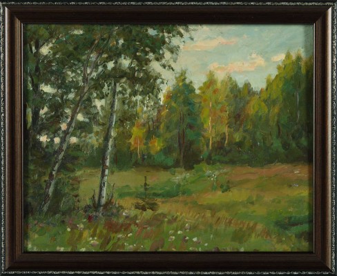 Жашков Николай Георгиевич. Хмурая поляна 